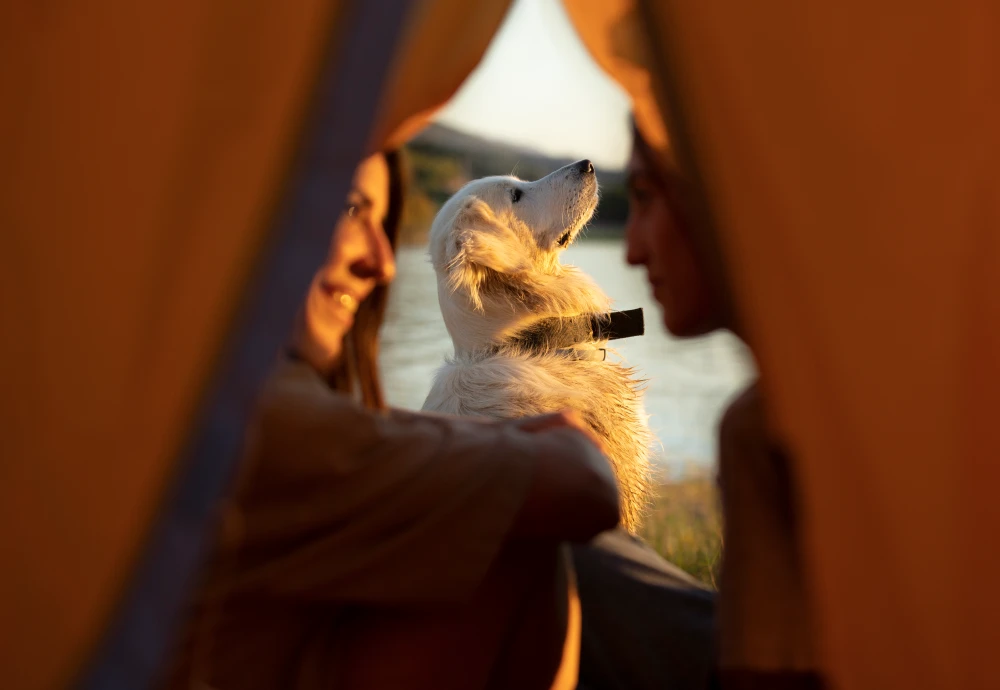 ultralight tipi tent