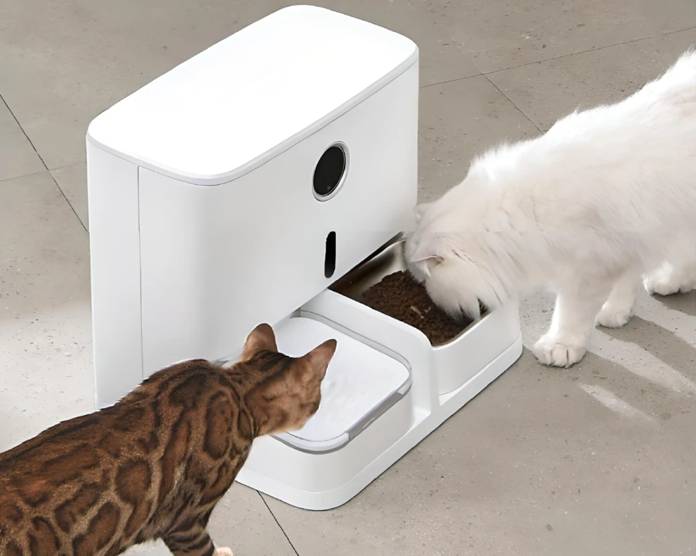 automatic dog feeder and water dispenser