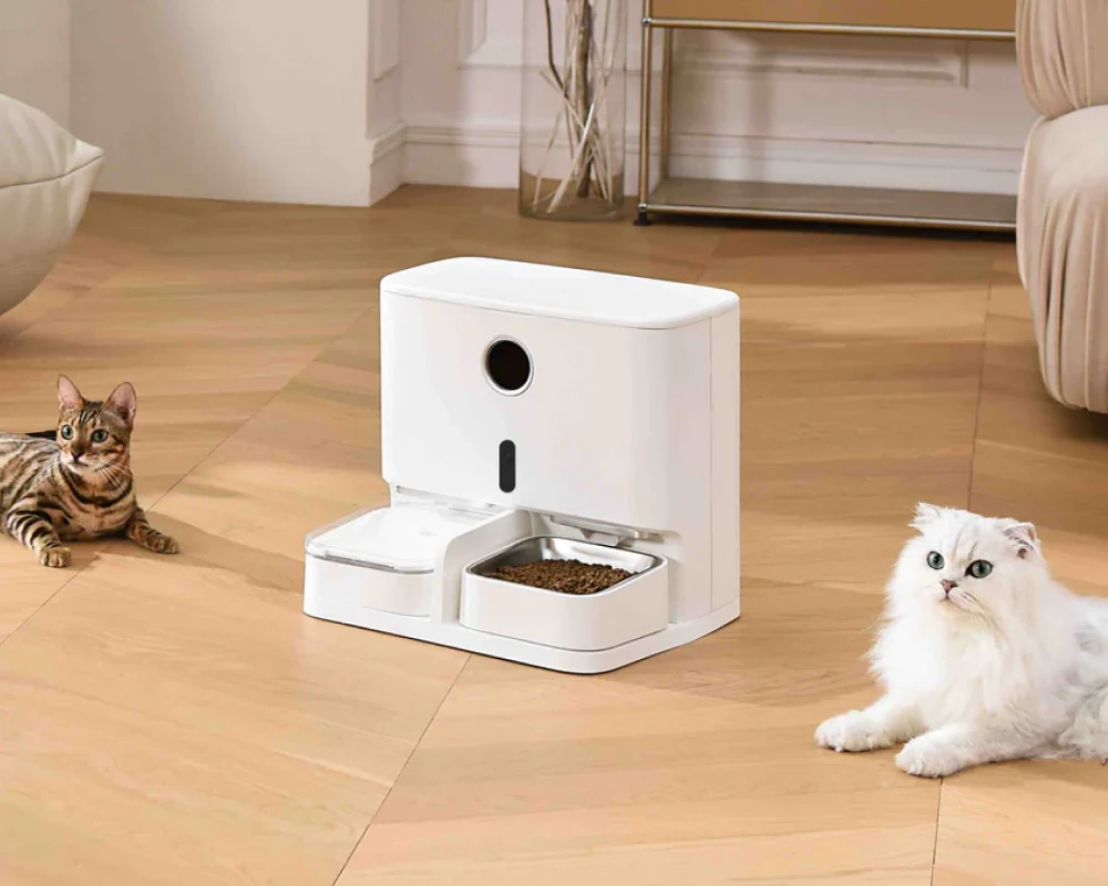 automatic pet feeder for two cats